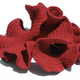 Illustration for article titled Mathematician Wins Fields Prize for Her Work on Hyberbolic Objects